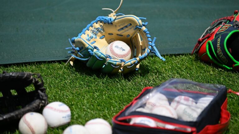 Inside the Mind of a Manager: Vince Harrison – High-A Dayton Dragons