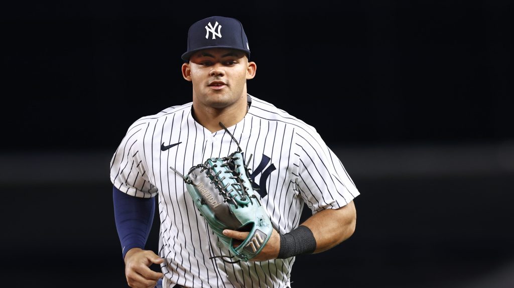 Jasson Dominguez of the New York Yankees in action against the Milwaukee Brewers during a game at Yankee Stadium.